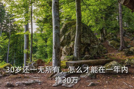 30歲還一無所有，怎么才能在一年內(nèi)掙30萬
