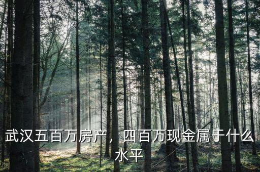 武漢五百萬房產(chǎn)，四百萬現(xiàn)金屬于什么水平