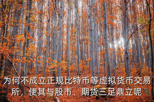 為何不成立正規(guī)比特幣等虛擬貨幣交易所，使其與股市、期貨三足鼎立呢