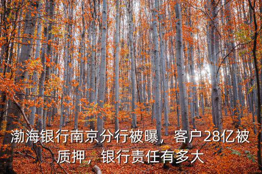 渤海銀行南京分行被曝，客戶28億被質押，銀行責任有多大