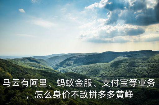馬云有阿里、螞蟻金服、支付寶等業(yè)務(wù)，怎么身價不敵拼多多黃崢