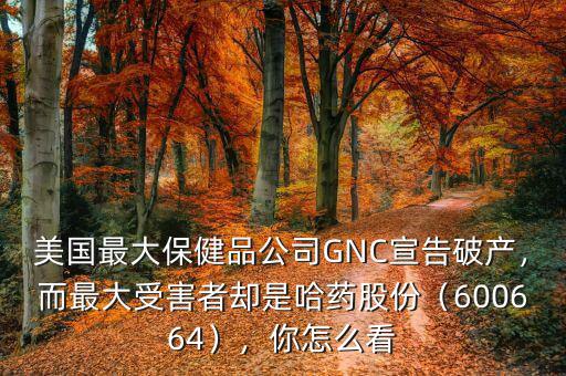 美國(guó)最大保健品公司GNC宣告破產(chǎn)，而最大受害者卻是哈藥股份（600664），你怎么看
