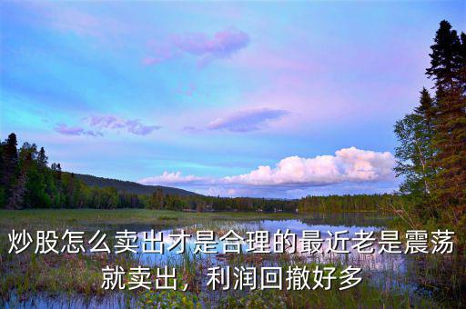 炒股怎么賣出才是合理的最近老是震蕩就賣出，利潤回撤好多