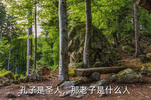 孔子是圣人，那老子是什么人