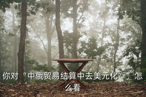 中俄交易對中俄貨幣有什么影響,你對中俄貿易結算中去美元化