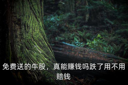 免費(fèi)送的牛股，真能賺錢嗎跌了用不用賠錢
