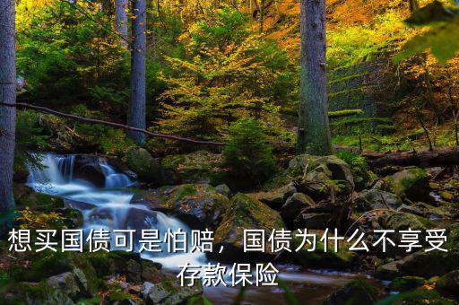 想買國(guó)債可是怕賠，國(guó)債為什么不享受存款保險(xiǎn)