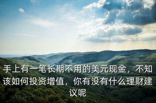 手上有一筆長期不用的美元現(xiàn)金，不知該如何投資增值，你有沒有什么理財建議呢