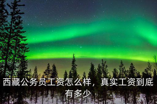 西藏公務(wù)員工資怎么樣，真實(shí)工資到底有多少