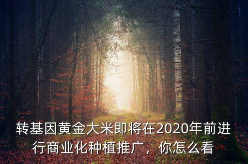 轉(zhuǎn)基因黃金大米即將在2020年前進(jìn)行商業(yè)化種植推廣，你怎么看