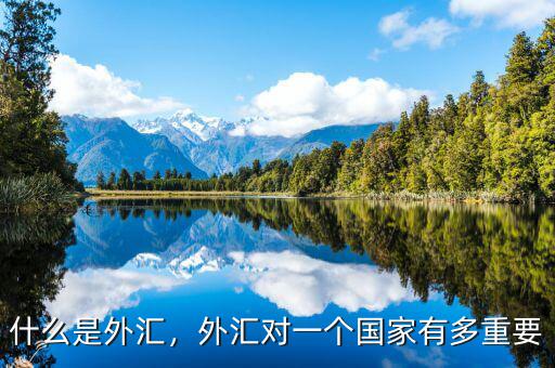 什么是外匯，外匯對一個國家有多重要