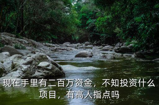 現(xiàn)在手里有二百萬資金，不知投資什么項(xiàng)目，有高人指點(diǎn)嗎
