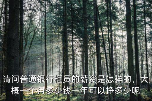 請(qǐng)問普通銀行柜員的薪資是怎樣的，大概一個(gè)月多少錢一年可以掙多少呢