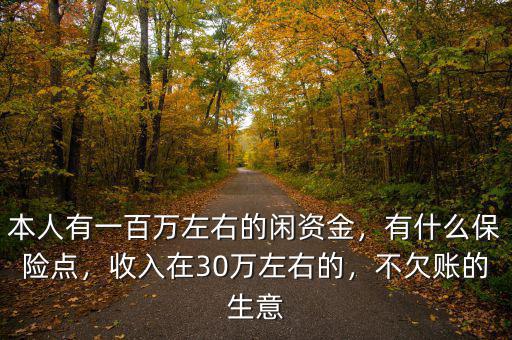 本人有一百萬左右的閑資金，有什么保險(xiǎn)點(diǎn)，收入在30萬左右的，不欠賬的生意