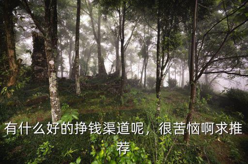 有什么好的掙錢(qián)渠道呢，很苦惱啊求推薦