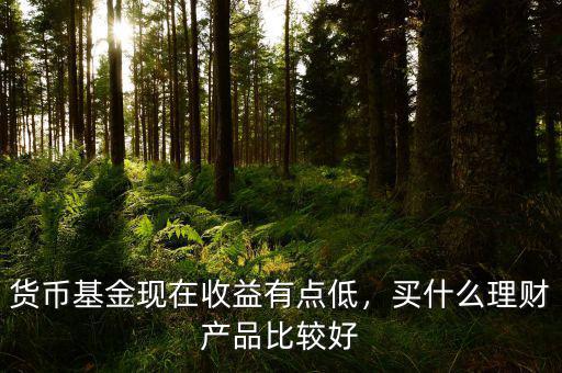 貨幣基金現(xiàn)在收益有點(diǎn)低，買什么理財(cái)產(chǎn)品比較好