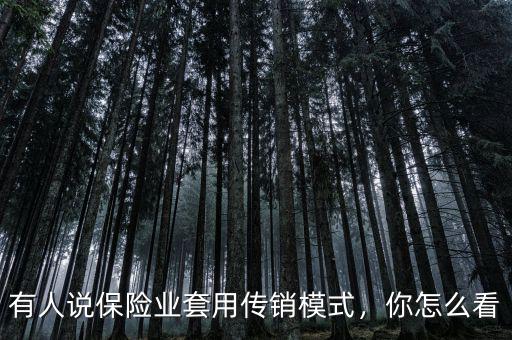 有人說保險業(yè)套用傳銷模式，你怎么看