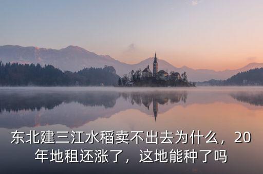 東北建三江水稻賣(mài)不出去為什么，20年地租還漲了，這地能種了嗎