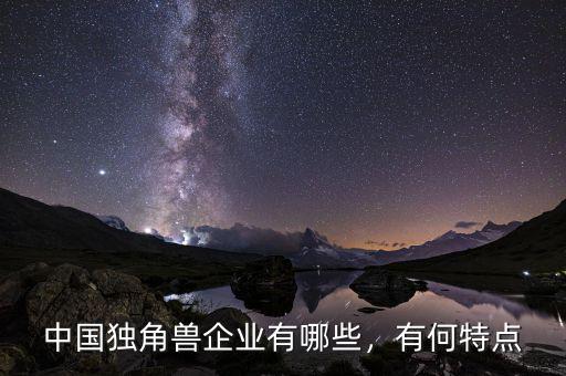 中國(guó)獨(dú)角獸企業(yè)有哪些，有何特點(diǎn)