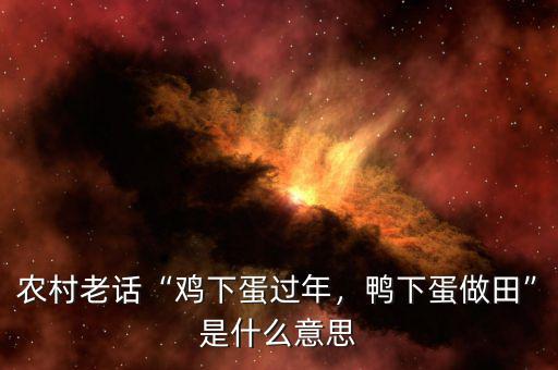農(nóng)村老話“雞下蛋過(guò)年，鴨下蛋做田”是什么意思