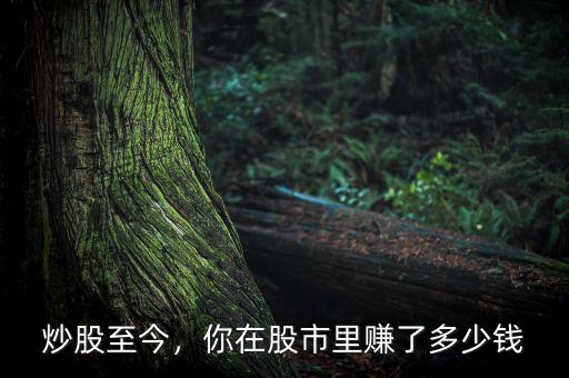 炒股至今，你在股市里賺了多少錢