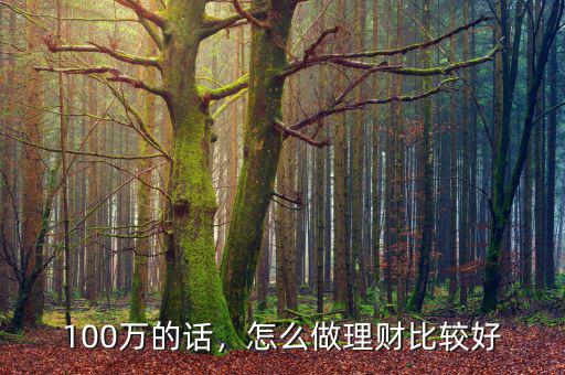 100萬的話，怎么做理財比較好
