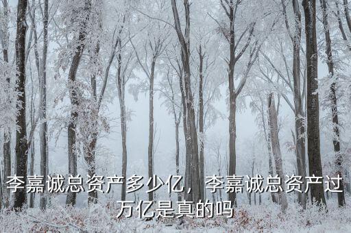李嘉誠總資產(chǎn)多少億，李嘉誠總資產(chǎn)過萬億是真的嗎