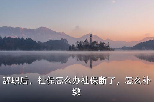 辭職后，社保怎么辦社保斷了，怎么補繳