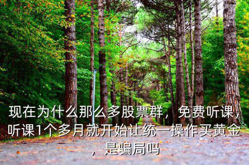 現(xiàn)在為什么那么多股票群，免費(fèi)聽課，聽課1個(gè)多月就開始讓統(tǒng)一操作買黃金，是騙局嗎