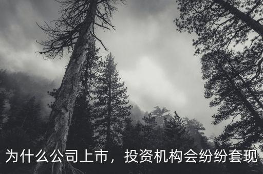 為什么公司上市，投資機(jī)構(gòu)會紛紛套現(xiàn)