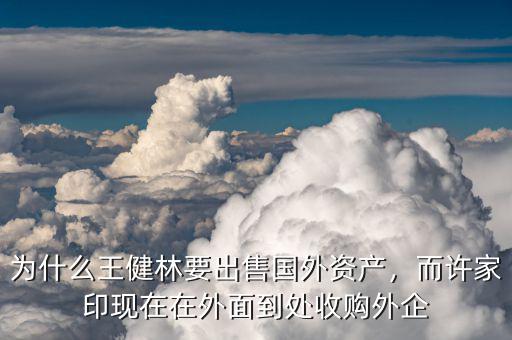 為什么王健林要出售國外資產(chǎn)，而許家印現(xiàn)在在外面到處收購外企