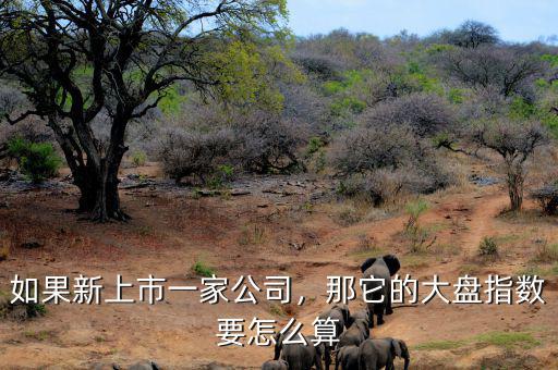 如果新上市一家公司，那它的大盤指數(shù)要怎么算