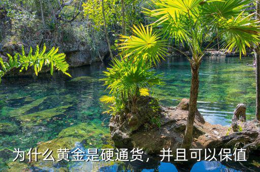 為什么黃金是硬通貨，并且可以保值