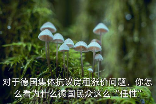 對于德國集體抗議房租漲價(jià)問題，你怎么看為什么德國民眾這么“任性”
