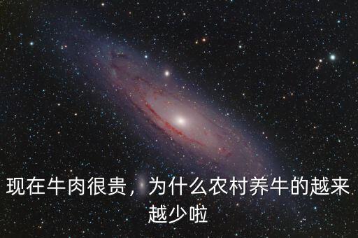 現(xiàn)在牛肉很貴，為什么農(nóng)村養(yǎng)牛的越來越少啦