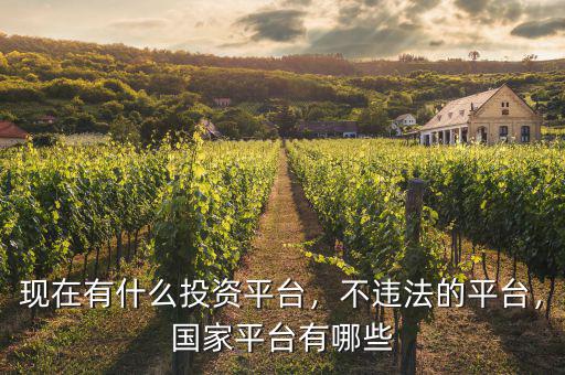 現(xiàn)在有什么投資平臺(tái)，不違法的平臺(tái)，國家平臺(tái)有哪些