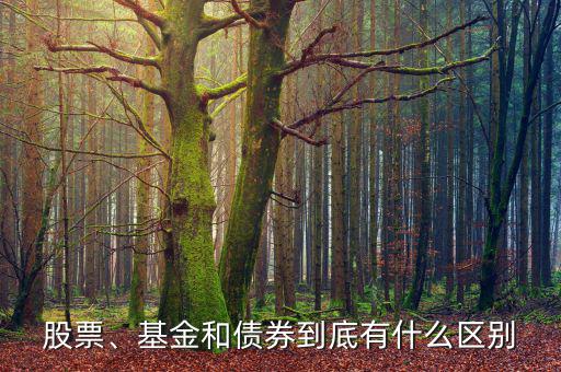 股票、基金和債券到底有什么區(qū)別