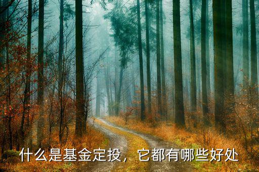 什么是基金定投，它都有哪些好處