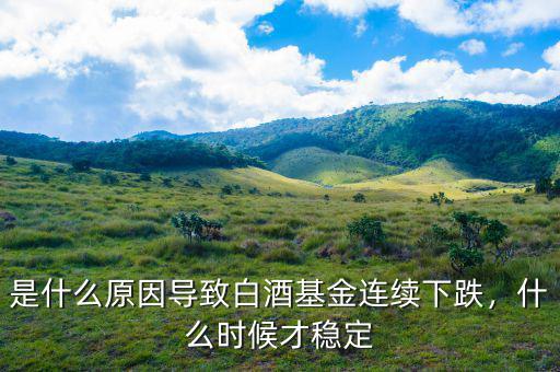 是什么原因導致白酒基金連續(xù)下跌，什么時候才穩(wěn)定