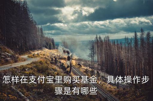 怎么用支付寶購(gòu)買(mǎi)基金,怎樣在支付寶里購(gòu)買(mǎi)基金