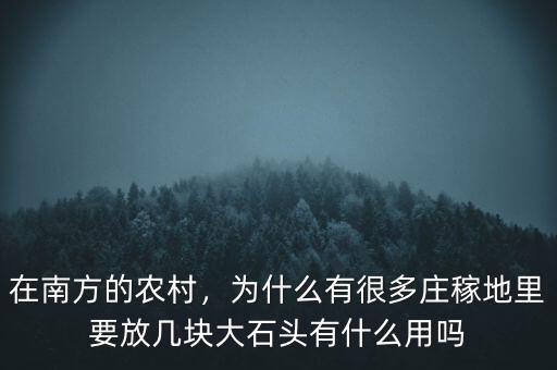 在南方的農(nóng)村，為什么有很多莊稼地里要放幾塊大石頭有什么用嗎