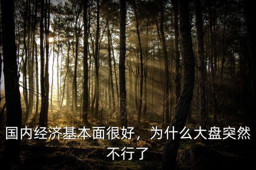 國內(nèi)經(jīng)濟基本面很好，為什么大盤突然不行了