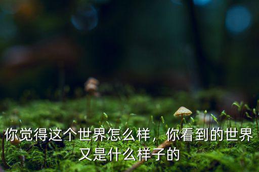 你覺(jué)得這個(gè)世界怎么樣，你看到的世界又是什么樣子的
