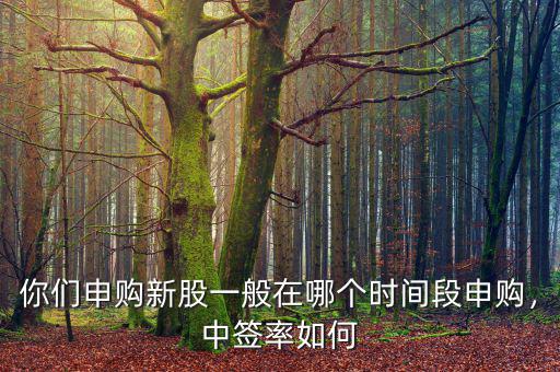 你們申購(gòu)新股一般在哪個(gè)時(shí)間段申購(gòu)，中簽率如何