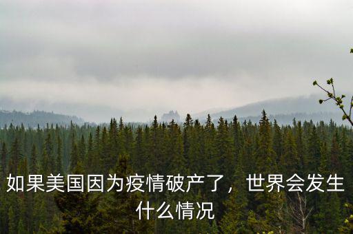 如果美國因為疫情破產了，世界會發(fā)生什么情況