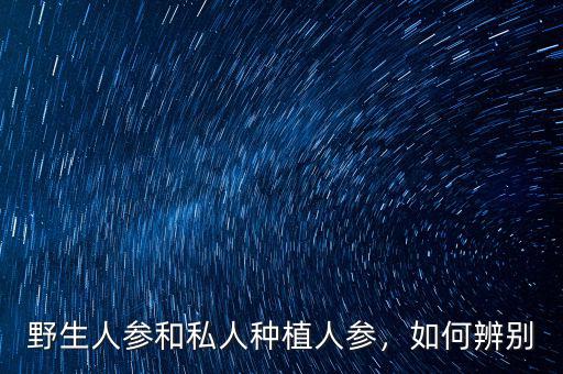 野生人參和私人種植人參，如何辨別