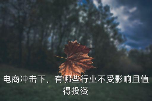 電商沖擊下，有哪些行業(yè)不受影響且值得投資