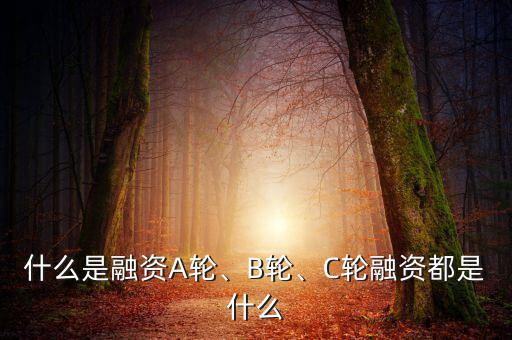 什么是融資A輪、B輪、C輪融資都是什么
