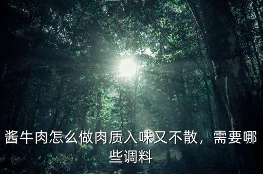 醬牛肉怎么做肉質(zhì)入味又不散，需要哪些調(diào)料