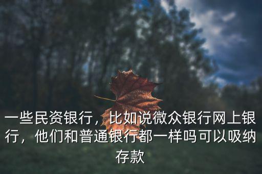 一些民資銀行，比如說微眾銀行網(wǎng)上銀行，他們和普通銀行都一樣嗎可以吸納存款